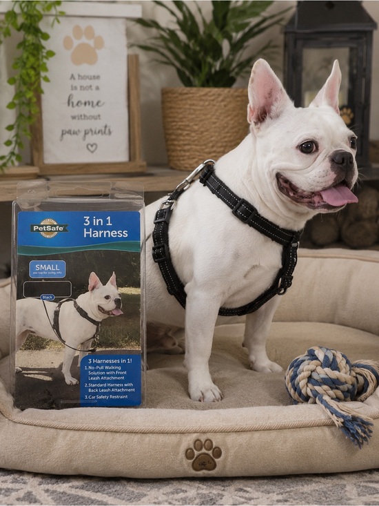 PetSafe Other - New PetSafe 3-in-1 No Pull Dog Harness Small Black | Adjustable Reflective
